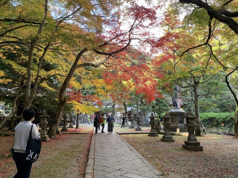 ハイブリッド見学旅行（箕面公園・勝尾寺）